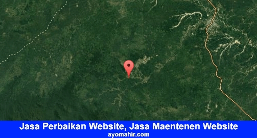 Jasa Perbaikan Website, Jasa Maintenance Website Murah Bungo