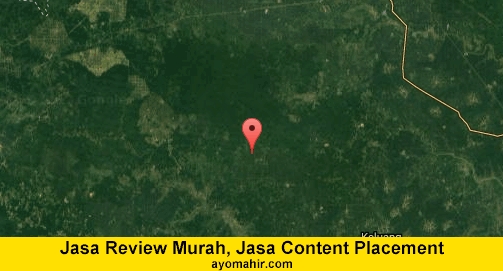 Jasa Review Murah, Jasa Review Website Murah Musi Banyuasin