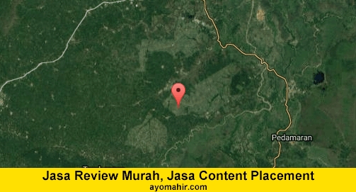 Jasa Review Murah, Jasa Review Website Murah Ogan Ilir