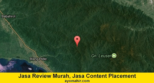 Jasa Review Murah, Jasa Review Website Murah Aceh Barat Daya