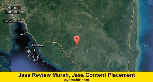 Jasa Review Murah, Jasa Review Website Murah Lampung Selatan