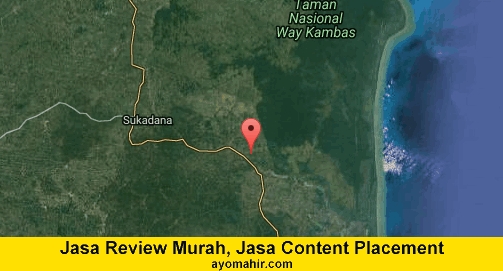 Jasa Review Murah, Jasa Review Website Murah Lampung Timur