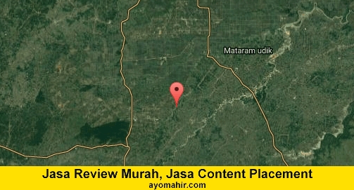Jasa Review Murah, Jasa Review Website Murah Lampung Tengah