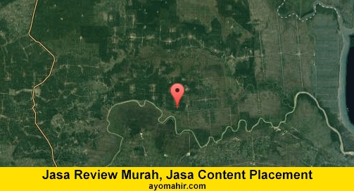 Jasa Review Murah, Jasa Review Website Murah Tulangbawang