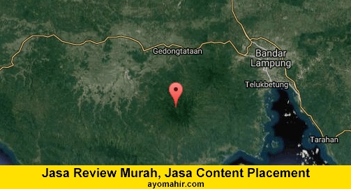 Jasa Review Murah, Jasa Review Website Murah Pesawaran