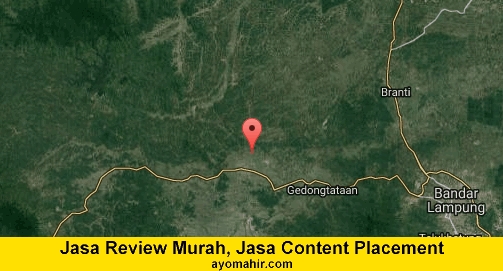 Jasa Review Murah, Jasa Review Website Murah Pringsewu