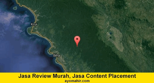 Jasa Review Murah, Jasa Review Website Murah Pesisir Barat