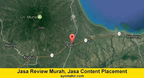 Jasa Review Murah, Jasa Review Website Murah Pati