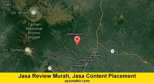 Jasa Review Murah, Jasa Review Website Murah Lumajang