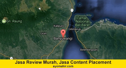 Jasa Review Murah, Jasa Review Website Murah Banyuwangi