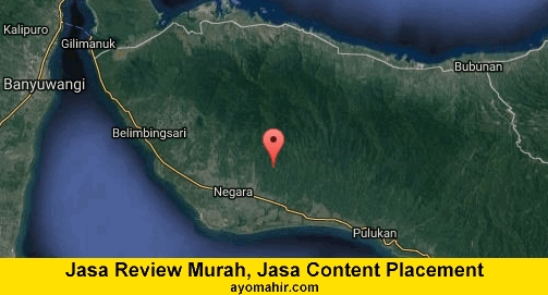Jasa Review Murah, Jasa Review Website Murah Jembrana