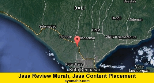 Jasa Review Murah, Jasa Review Website Murah Badung