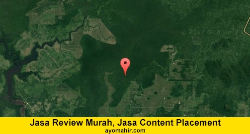 Jasa Review Murah, Jasa Review Website Murah Kayong Utara