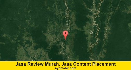 Jasa Review Murah, Jasa Review Website Murah Kapuas