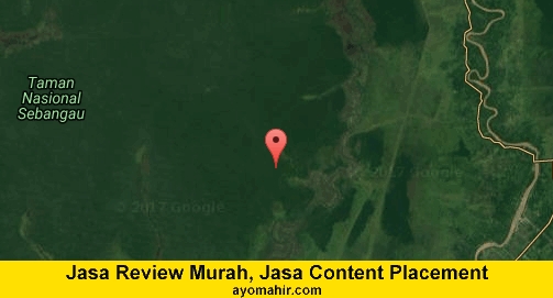 Jasa Review Murah, Jasa Review Website Murah Pulang Pisau