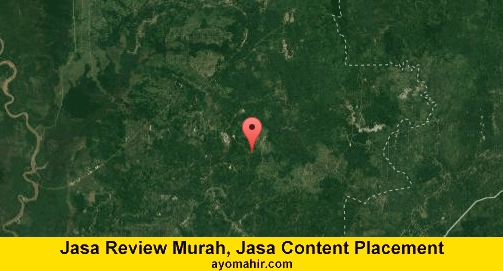 Jasa Review Murah, Jasa Review Website Murah Barito Timur