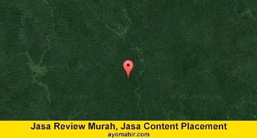 Jasa Review Murah, Jasa Review Website Murah Murung Raya