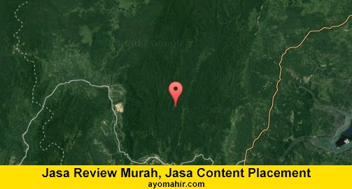 Jasa Review Murah, Jasa Review Website Murah Paser