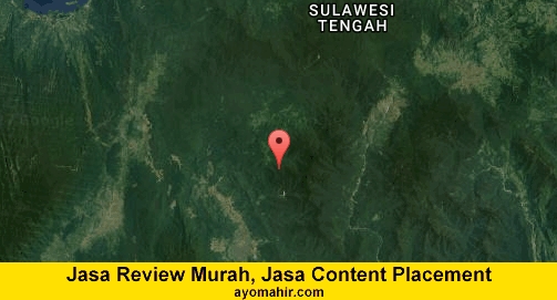 Jasa Review Murah, Jasa Review Website Murah Morowali Utara