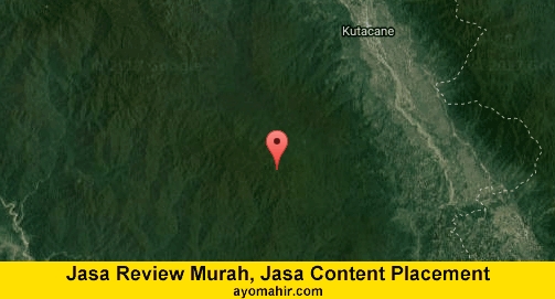 Jasa Review Murah, Jasa Review Website Murah Aceh Tenggara