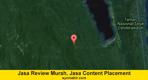 Jasa Review Murah, Jasa Review Website Murah Teluk Wondama