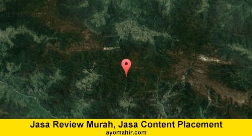 Jasa Review Murah, Jasa Review Website Murah Jayawijaya