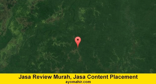 Jasa Review Murah, Jasa Review Website Murah Mappi
