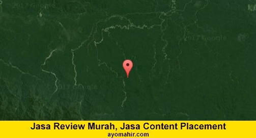 Jasa Review Murah, Jasa Review Website Murah Sarmi