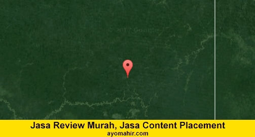 Jasa Review Murah, Jasa Review Website Murah Keerom