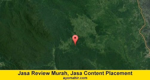 Jasa Review Murah, Jasa Review Website Murah Aceh Timur