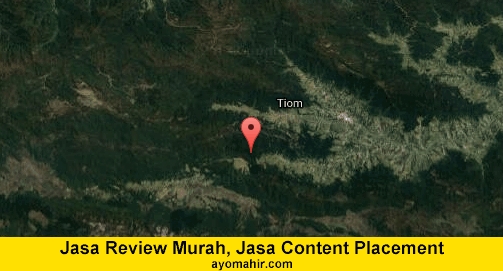Jasa Review Murah, Jasa Review Website Murah Lanny Jaya
