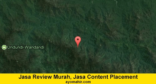 Jasa Review Murah, Jasa Review Website Murah Intan Jaya