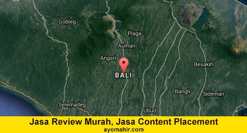 Jasa Review Murah, Jasa Review Website Murah Bali
