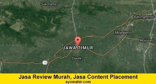 Jasa Review Murah, Jasa Review Website Murah Jawa Timur