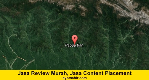 Jasa Review Murah, Jasa Review Website Murah Papua