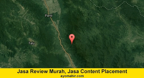 Jasa Review Murah, Jasa Review Website Murah Pasaman