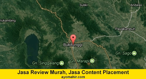 Jasa Review Murah, Jasa Review Website Murah Kota Bukittinggi