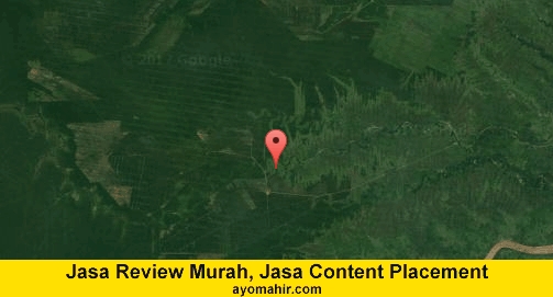 Jasa Review Murah, Jasa Review Website Murah Indragiri Hilir