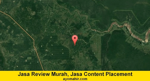 Jasa Review Murah, Jasa Review Website Murah Pelalawan