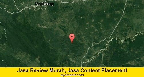 Jasa Review Murah, Jasa Review Website Murah Kampar