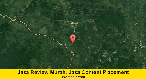 Jasa Review Murah, Jasa Review Website Murah Tanjung Jabung Barat