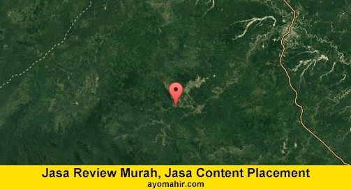 Jasa Review Murah, Jasa Review Website Murah Bungo