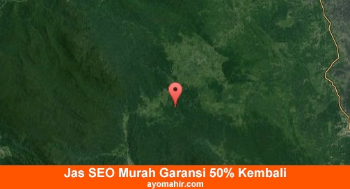 Jasa SEO Murah Aceh Timur