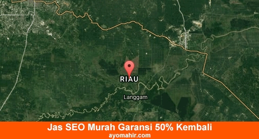 Jasa SEO Murah Riau