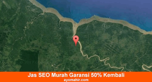 Jasa SEO Murah Tanjung Jabung Timur