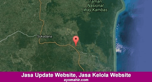 Jasa Update Website, Jasa Kelola Website Murah Lampung Timur