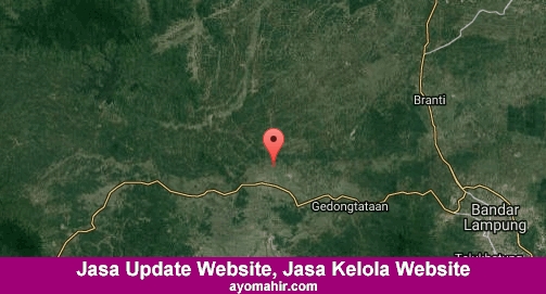 Jasa Update Website, Jasa Kelola Website Murah Pringsewu