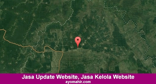 Jasa Update Website, Jasa Kelola Website Murah Mesuji