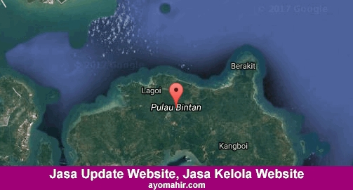 Jasa Update Website, Jasa Kelola Website Murah Bintan