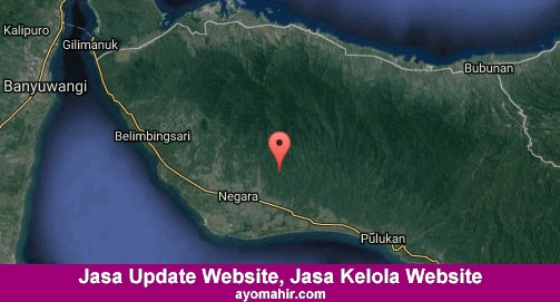 Jasa Update Website, Jasa Kelola Website Murah Jembrana